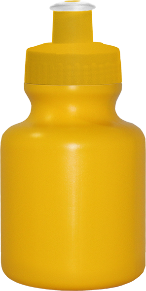 Imagem de Squeeze 300 ml